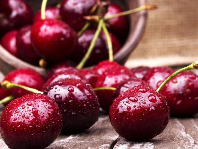 Вишня купить саженцы из питомника в Архангельске